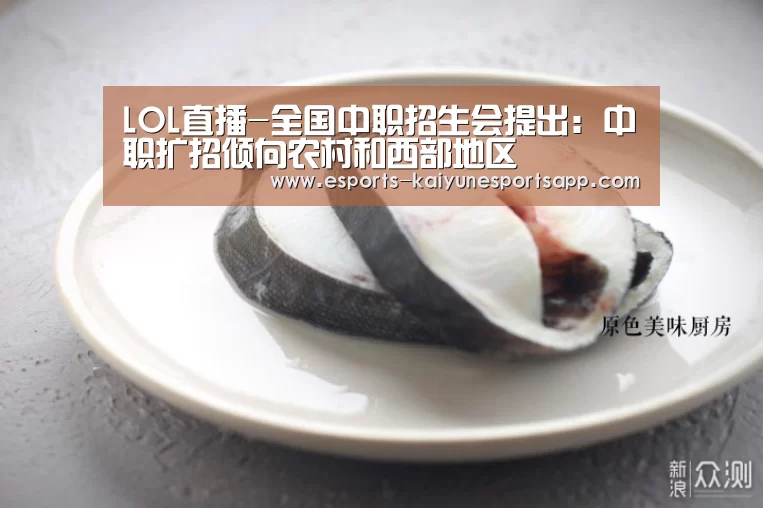 LOL直播-全国中职招生会提出: 中职扩招倾向农村和西部地区(图4) 电竞官网