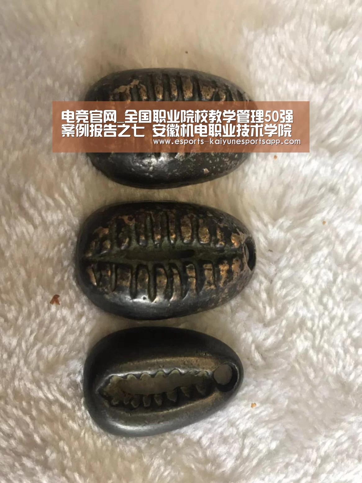 电竞官网_全国职业院校教学管理50强案例报告之七 安徽机电职业技术学院(图4) 开云电竞