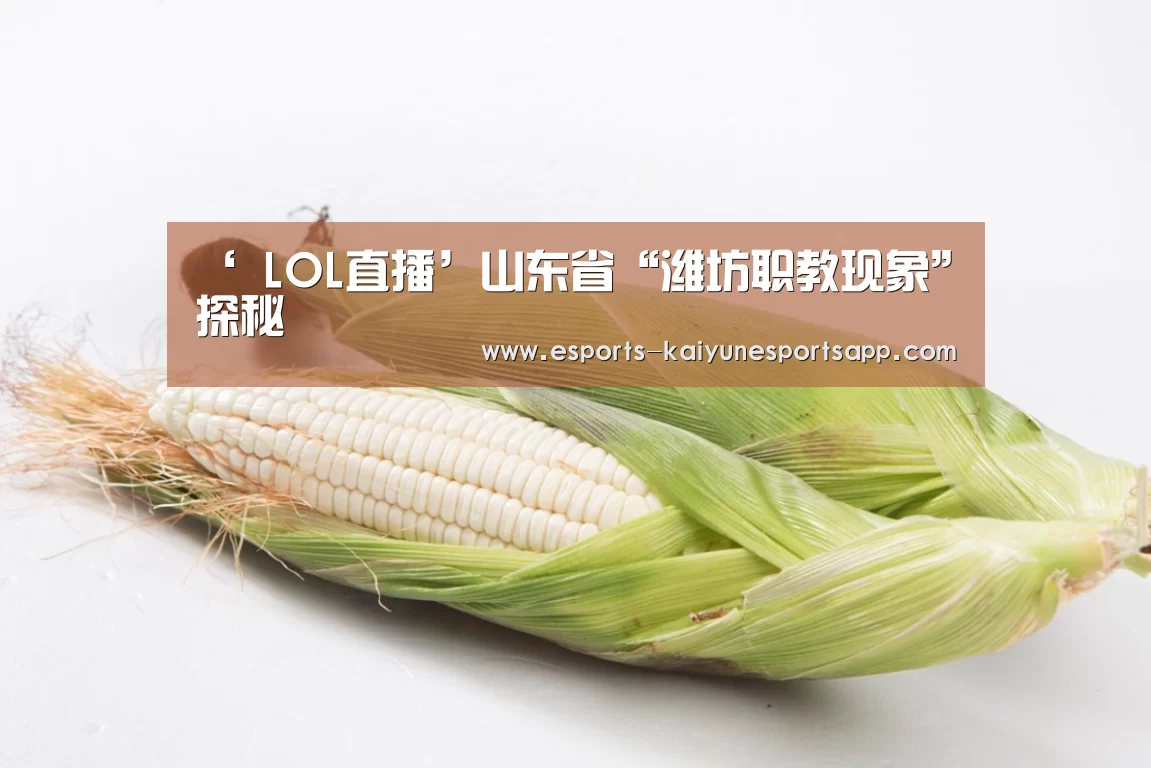 ‘ LOL直播’山东省“潍坊职教现象”探秘(图3) LOL直播