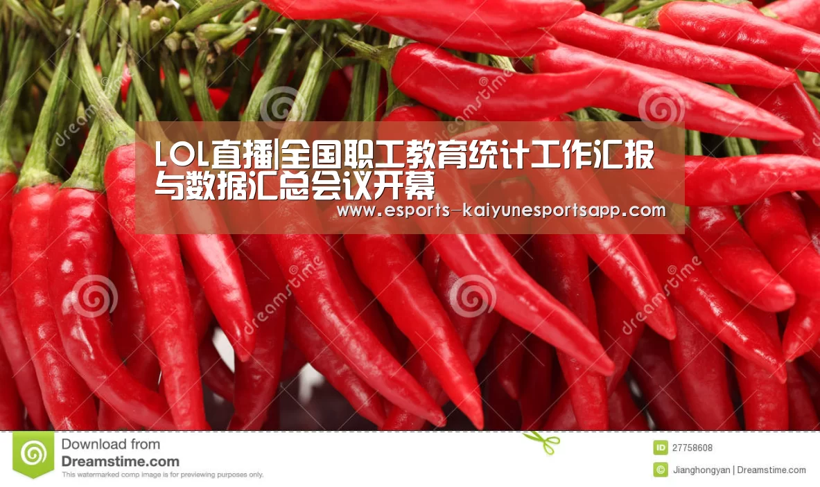 LOL直播|全国职工教育统计工作汇报与数据汇总会议开幕(图1) 开云电竞