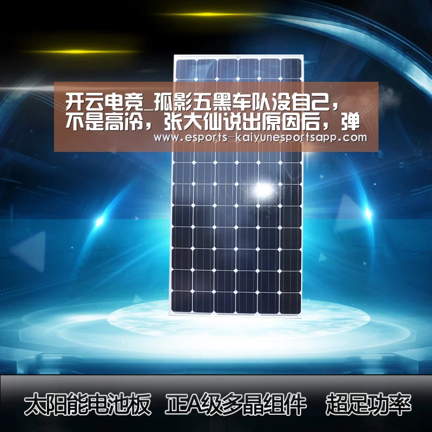 开云电竞_孤影五黑车队没自己,不是高冷,张大仙说出原因后,弹幕沸腾了(图3) 开云电竞